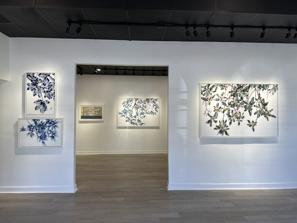 Installation view of
REACH at BondMillen Gallery